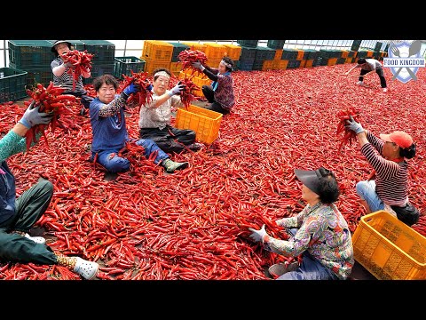 우리가 매일 먹는 맛, 한국 양념은 이렇게 만들어집니다｜ Korea’s Seasoning Factories thumbnail