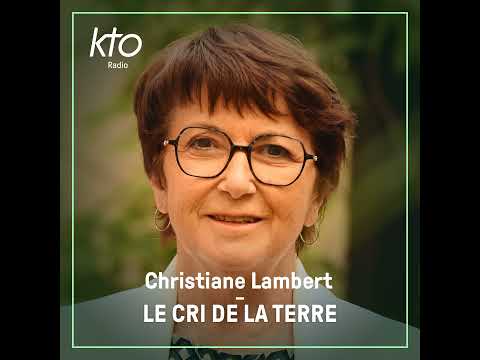 Christiane Lambert : les marges de la grande distribution, un électrochoc ? thumbnail