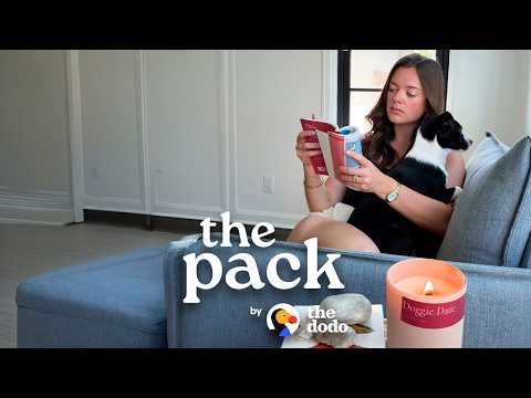 Everyone Should Switch To Pet-Friendly Candles | The Dodo thumbnail