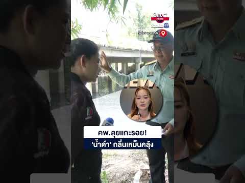 แกะรอยโรงงานปล่อยน้ำเสีย น้ำดำเป็นกิโลเมตร | 23 Short News | 29 พ.ค.2569 thumbnail