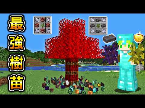 Minecraft 折斷樹幹，合成樹苗種植就能拿到最強物資，挑戰終界龍的世界生存 thumbnail