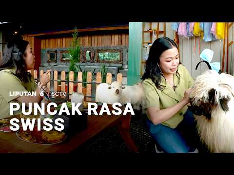 Puncak Bernuansa Swiss | Liputan6 thumbnail