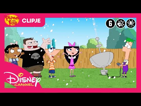Phineas & Ferb | Stekel Braak Zind | Disney Channel België-Nederland thumbnail