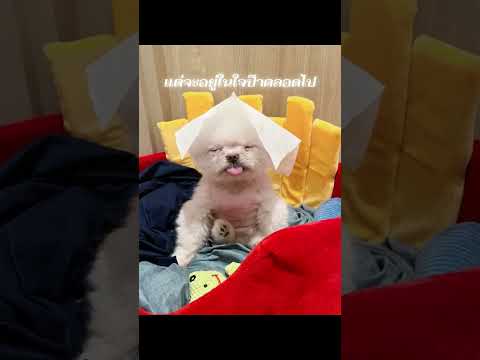 24 มกราคม 2569 thumbnail