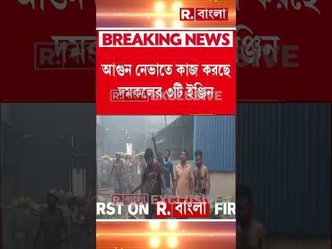 নরেন্দ্রপুরে কালি তৈরির কারখানায় আগুন। মঙ্গলবার সকালে কারখানায় আগুন লাগে। thumbnail