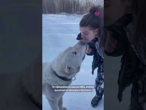 Полицейские застрелили домашнего пса thumbnail