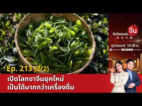 EP.213 (1/2) เปิดโลก "ชาจีน" ยุคใหม่ เป็นได้มากกว่าเครื่องดื่ม | จับจ้องมองจีน thumbnail