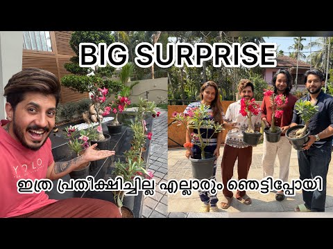 കിടിലൻ സർപ്രൈസ് ?? ആദ്യമായി കണ്ടപ്പോൾ ഞെട്ടി പോയി  thumbnail