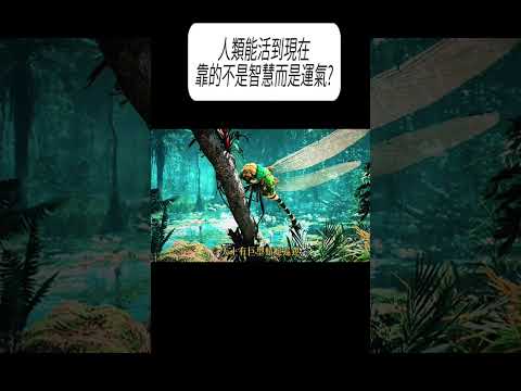 人類能活到現在，靠的不是智慧而是運氣?#科普 #漲知識 thumbnail