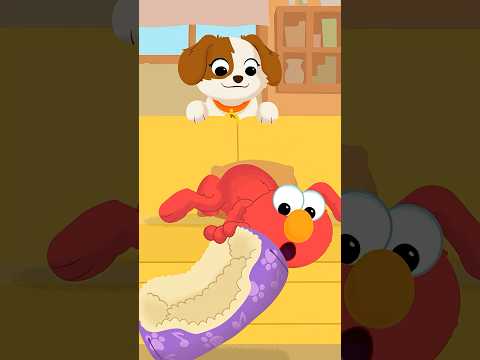 Puppy Hide and Seek! #sesamestreet thumbnail