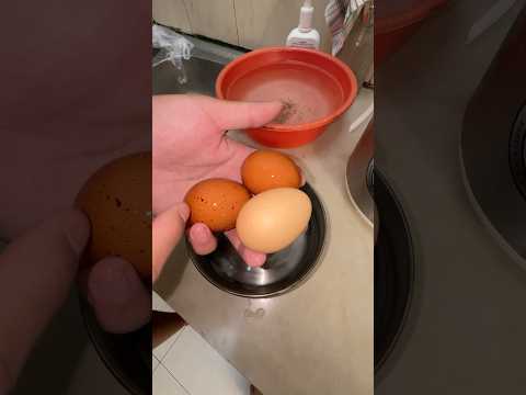 Nyobain telor ayam stres, tua, dan sehat! thumbnail