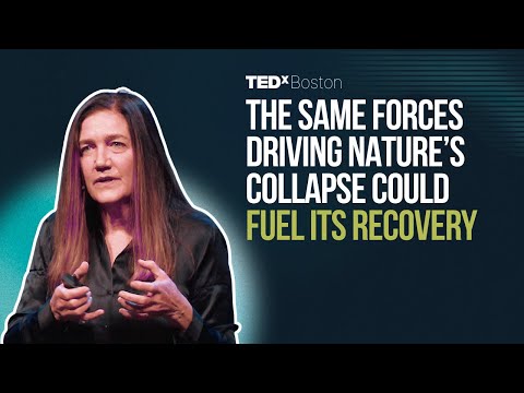 Nature at the tipping point | Rebecca Shaw | TEDxBoston thumbnail