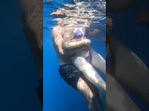 Amazing Underwater Views From A Boat Trip thumbnail