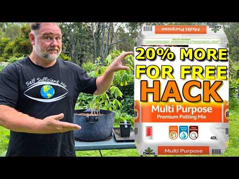 Potting Mix Trick: Save Money NOW! thumbnail