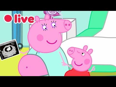 🔴 LIVE: Cutest Baby Evie Episode 🍼 Peppa Pig Best Big Sister Moments✨Kids Cartoons 🐷 FULL Episodes thumbnail