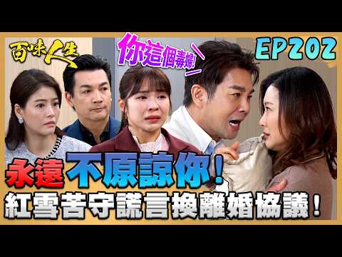 百味人生 EP202 完整版｜紅雪害月霜家破人亡！德風丟下離婚協議撂狠話「不可能原諒你」！文祥找冠偉算帳！要問出梁火炮背後藏鏡人是誰！｜Bittersweet Destiny｜【莊廣和堂轉大人萃滴精】 thumbnail