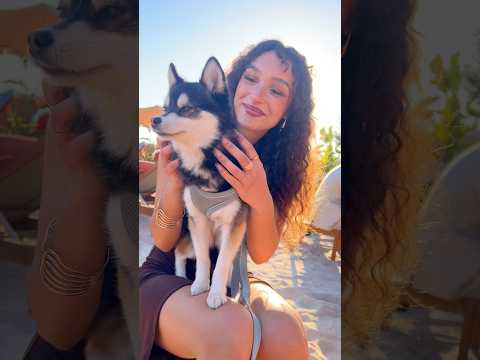 Épisode 3 : sous les strass de Cannes ✨ thumbnail