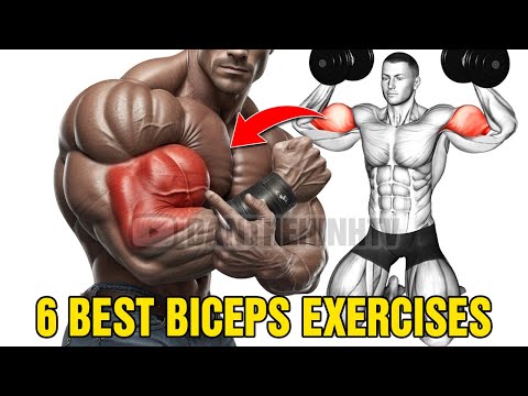 6 Proven Biceps Exercises For Bigger Arms thumbnail
