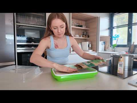 VLOG: КАК Я ВЫРАЩИВАЮ МИКРОЗЕЛЕНЬ 23.04.26 thumbnail