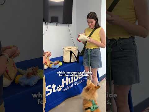 They Made a Special Stop — And Met a Dog Who’s Still Waiting ❤️ | The Dodo thumbnail