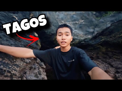 WARA WARA thumbnail