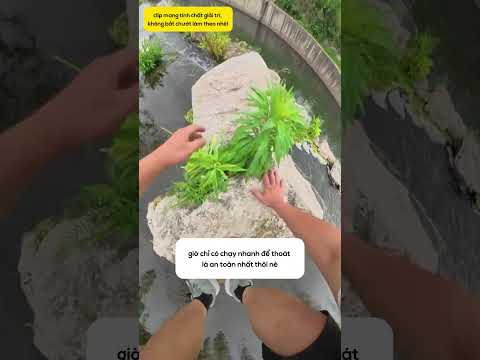 Lừa thằng em và cái kết! thumbnail