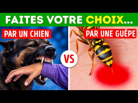 Choisissez ou perdez ! 50 décisions impossibles qui vont tester votre esprit thumbnail