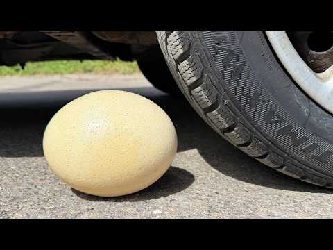 BIG EGG COCA COLA BALLOON VS CAR, Coca Cola Zero, PowerAde, Fanta, Sprite, Fruko and Mentos Diff Und thumbnail