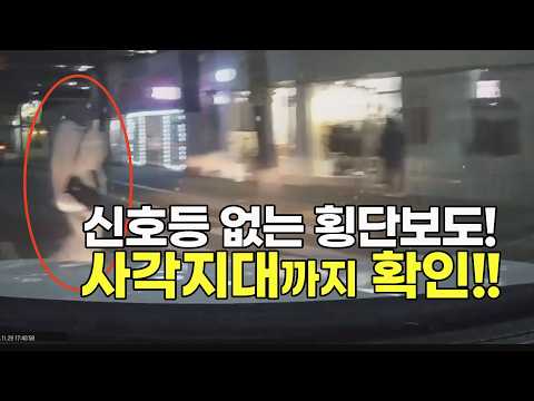 27753회. 횡단보도를 건너던 보행자를 친 사고. 운전자가 사각지대까지 확인했어야 합니다 thumbnail