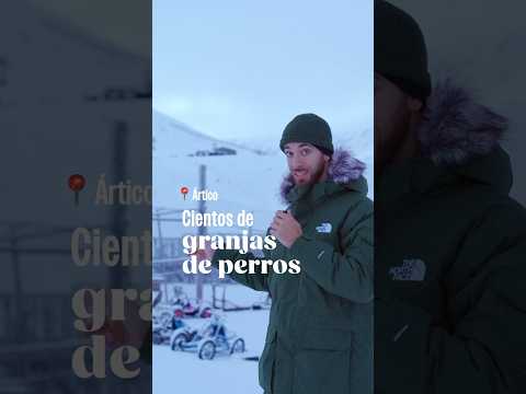 ¿Hasta cuándo? Las granjas de perros del Ártico thumbnail