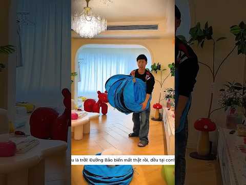 Mèo Con Biến Mất Trong Ống Cầu Vồng 😱🐈 thumbnail
