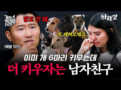 [#마라맛] 이미 개 6마리 키우는데 더 키우자는 남자친구!? 아빠 보호자에게 역대급 분노한 강형욱?| #개와늑대의시간 thumbnail