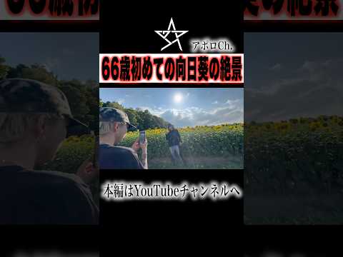 66歳初めてのヒマワリの絶景 thumbnail
