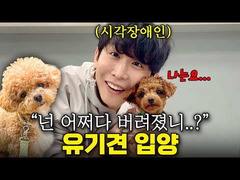 이 아기 강아지는 육수로 사용한다고 합니다... 눈물이 다 나네요  thumbnail