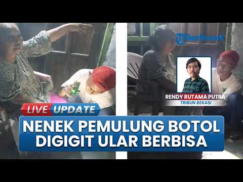 Nenek Pemulung Botol di Bekasi Digigit Ular Berbisa, Damkar Berpacu dengan Waktu Selamatkan Korban thumbnail