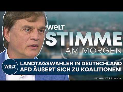 AFD: Migration, BSW, Sachsen-Anhalt, Russland! Baumann packt aus und nennt Details STIMME AM MORGEN thumbnail