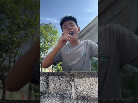 Anh Tippi Trừng Trị Đại Ca | Tippi Vips #tippitv thumbnail