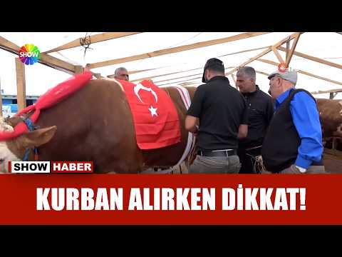 Kurban pazarları hareketlendi! thumbnail