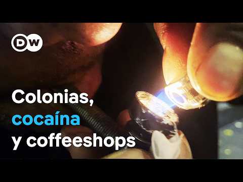 La mafia de la droga en Europa (1/2): La riqueza de los Países Bajos | DW Documental thumbnail