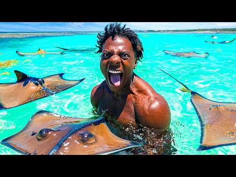 irl stream in Antigua and Barbuda 🇦🇬 thumbnail