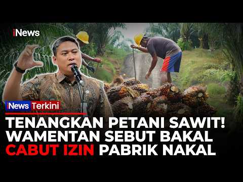 ULTIMATUM WAMENTAN! Pabrik Nakal Beli Sawit Murah dari Petani Bakal Dicabut Izinnya | iNews Terkini thumbnail