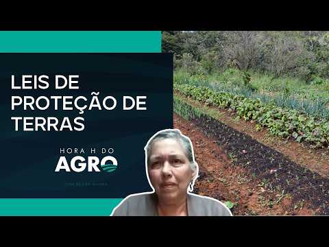PLs sobre uso da terra são foco no Congresso | HORA H DO AGRO thumbnail