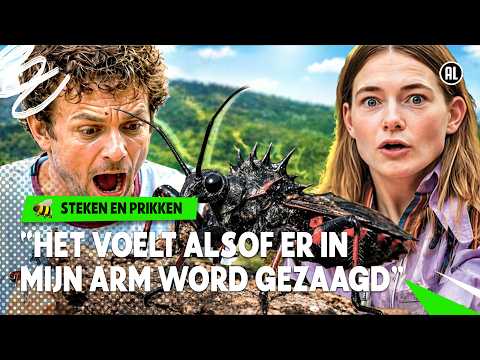 DE PRIK VAN DE GIANT ASSASSIN BUG DOET ENORM PIJN 🫨 🪲  | Steken en Prikken | S6 #5| NPO Zapp thumbnail