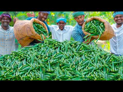 LADY FINGER CHIPS | Fried Lady Finger Recipe Cooking in Village | Okra Recipe Vendakkai Mor Kulambu thumbnail