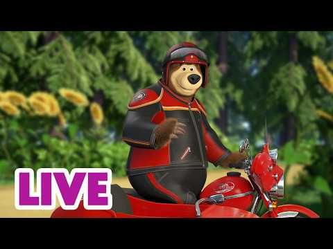 🔴 AO VIVO 👱♀️🐻 Masha e o Urso ✋ Tome Cuidado! 🚨⚠️ Masha and the Bear thumbnail