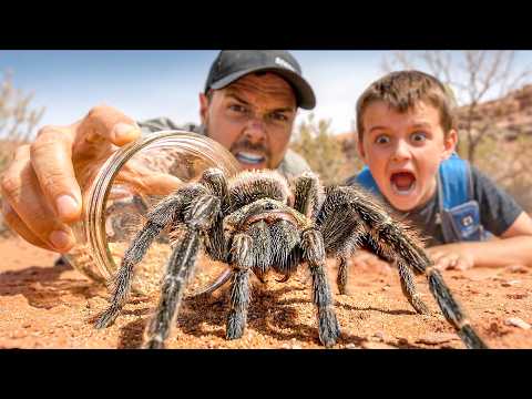 Catching Big Spiders with our Subscribers! thumbnail
