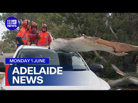 9News Adelaide | Monday June 1 | Full Episode thumbnail
