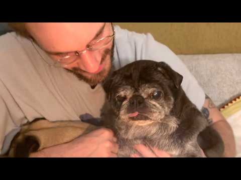 Our Old Man Is Getting Old thumbnail