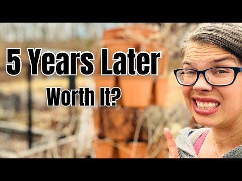 I Found My Old GreenStalk Video… 5 Years Later Here’s the Truth thumbnail