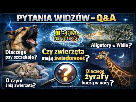Odpowiadam na Pytania Widzów - PRZYRODNICZE Q&A thumbnail